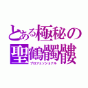 とある極秘の聖鶴髑髏団（プロフェッショナル）