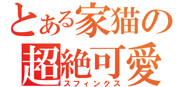 とある家猫の超絶可愛（スフィンクス）