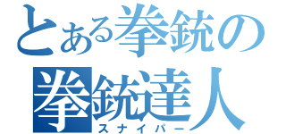 とある拳銃の拳銃達人（スナイパー）