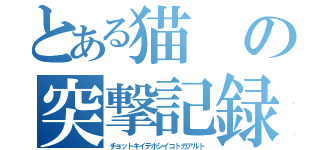 とある猫の突撃記録（チョットキイテホシイコトガアルト）