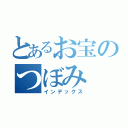 とあるお宝のつぼみ（インデックス）