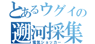 とあるウグイの遡河採集（電気ショッカー）