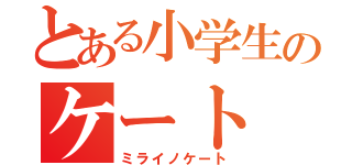 とある小学生のケート（ミライノケート）