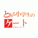 とある小学生のケート（ミライノケート）