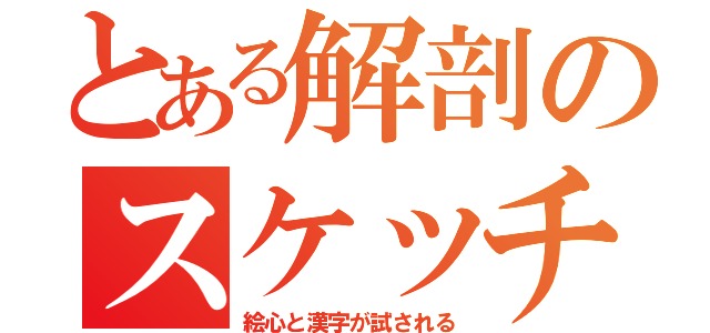 とある解剖のスケッチ（絵心と漢字が試される）