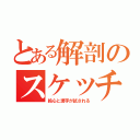 とある解剖のスケッチ（絵心と漢字が試される）