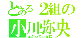 とある２組の小川弥央仁（おがわでぃおに）