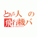 とある人の飛行機バカ（エースコンバット）