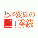 とある変態の二丁拳銃（ヘッドショット）