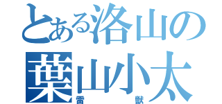 とある洛山の葉山小太郎（雷獣）