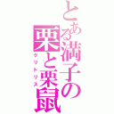 とある満子の栗と栗鼠（クリトリス）