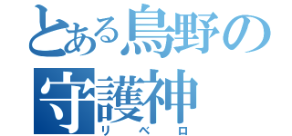 とある鳥野の守護神（リベロ）