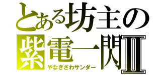 とある坊主の紫電一閃Ⅱ（やなぎさわサンダー）