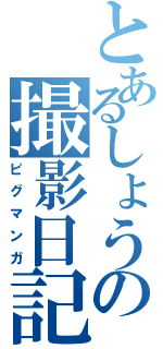 とあるしょうの撮影日記（ピグマンガ）