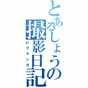 とあるしょうの撮影日記（ピグマンガ）