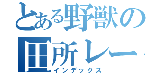 とある野獣の田所レーシング（インデックス）