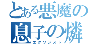 とある悪魔の息子の燐（エクソシスト）