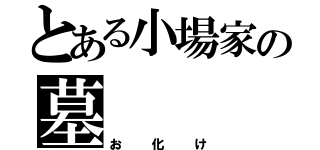 とある小場家の墓（お化け）