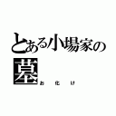 とある小場家の墓（お化け）