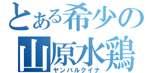 とある希少の山原水鶏（ヤンバルクイナ）