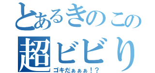 とあるきのこの超ビビり（ゴキだぁぁぁ！？）