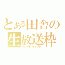 とある田舎の生放送枠（ブロードキャスト）