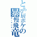 とある厨ポケの暴慢飛竜（ボーマンダ）