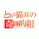 とある猫耳の奇跡的相性（マイアージュ）