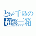 とある千島の超驚三箱（ビックリバコ）