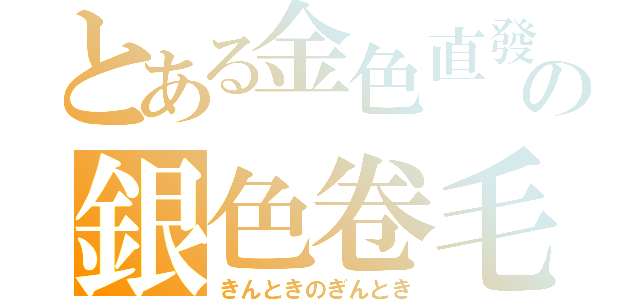 とある金色直發の銀色卷毛（きんときのぎんとき）