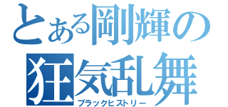 とある剛輝の狂気乱舞（ブラックヒストリー）