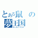 とある鼠の夢王国（ディズニーランド）