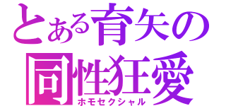 とある育矢の同性狂愛（ホモセクシャル）