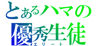 とあるハマの優秀生徒（エリート）