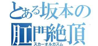 とある坂本の肛門絶頂（スカーオルガズム）