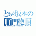 とある坂本の肛門絶頂（スカーオルガズム）