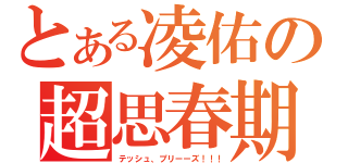 とある凌佑の超思春期（テッシュ、プリーーズ！！！）