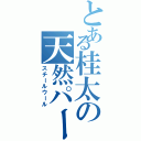 とある桂太の天然パーマ（スチールウール）