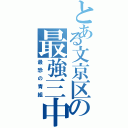 とある文京区の最強三中（最恐の青組）