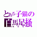 とある子猫の白馬足掻（私は私）