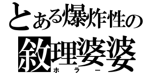 とある爆炸性の敘理婆婆（ホラー）