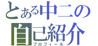 とある中二の自己紹介（プロフィール）