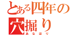 とある四年の穴掘り（あなほり）