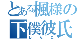 とある楓様の下僕彼氏（わんこ）