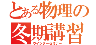 とある物理の冬期講習（ウインターセミナー）