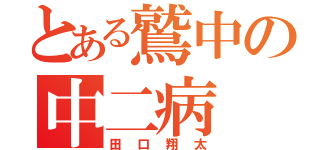 とある鷲中の中二病（田口翔太）