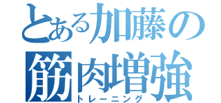 とある加藤の筋肉増強（トレーニング）