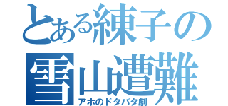 とある練子の雪山遭難（アホのドタバタ劇）