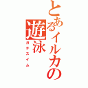 とあるイルカの遊泳（ガチスイム）