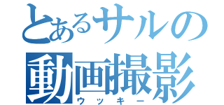 とあるサルの動画撮影（ウッキー）